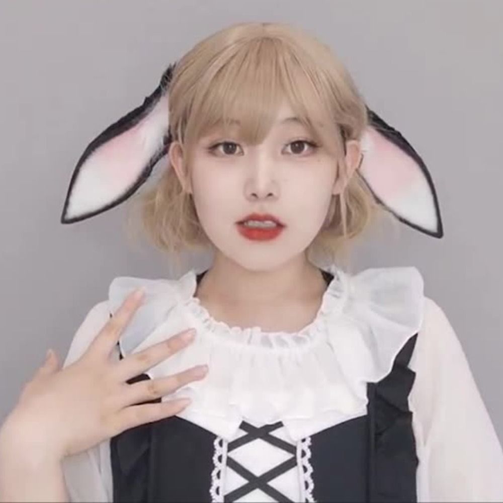 Anime Bunny Ears Dropped Ear R - Anime Cosplay Girl Photo ulasan dan harga
